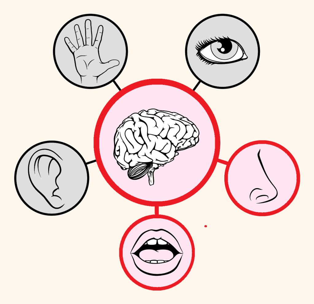 23: Can a Palate Be Trained? (Part&nbsp;3)